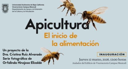 Exposición fotográfica “Apicultura: El inicio de la alimentación”